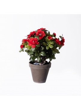 Supergreens Τεχνητό Φυτό Αζαλέα Kόκκινο 31 εκ.Χρώμα Κόκκινο Mήκος 26 Πλάτος 26 Υψος 31 SUPER-4290-6