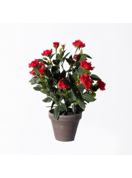 Supergreens Τεχνητό Φυτό Τριανταφυλλιά Κόκκινο 33 εκ.Χρώμα Κόκκινο Mήκος 25 Πλάτος 25 Υψος 33 SUPER-9290-6