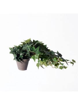 Supergreens Τεχνητό Φυτό Κισσός 45 εκ.Χρώμα Πράσινο Mήκος 25 Πλάτος 25 Υψος 45 SUPER-1390-6