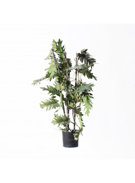 Supergreens Τεχνητό Φυτό Φιλόδεντρο Xanadu 75 εκ.Χρώμα Πράσινο Mήκος  Πλάτος 30 Υψος 75 SUPER-5161-7