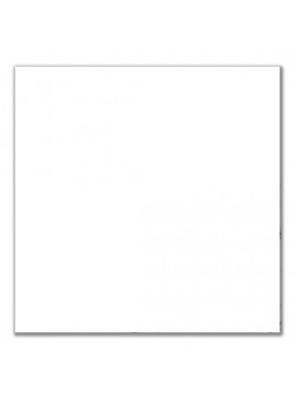 ZITA PLUS HPL 69X69 ΕΠΙΦΑΝΕΙΑ WHITE 12mm 69X69εκ.13.0616
