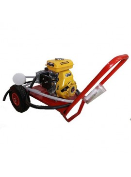 Ψεκαστικό Βενζίνης DAL DEGAN DL218 Interpower 6.5HP Τετράχρονο KIDO-
16/136