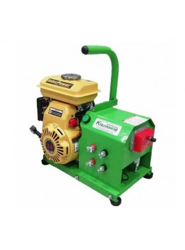 Φορητή Γεννήτρια Ελαιοραβδιστικών 12 Volt/70A Interpower 2,5HP Έως 2 Βέργες KIDO-
530/21