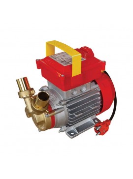 ΗΛΕΚΤΡΑΝΤΛΙΑ ROVER 25 CE 0,8HP 2850rpm
