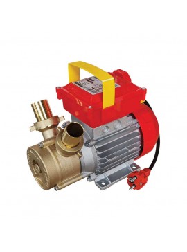 ΗΛΕΚΤΡΑΝΤΛΙΑ ROVER 30 CE 1HP 2850rpm