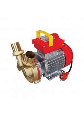 ΗΛΕΚΤΡΑΝΤΛΙΑ ROVER 40 CE 1HP 1450rpm