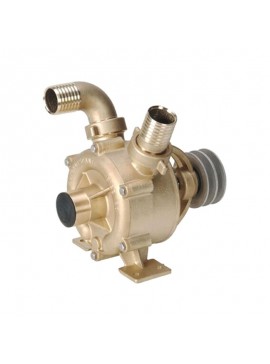 ANTΛIA LIVERANI NAUTIC Φ50 BAZMOTOR-32008