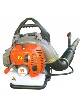 ΦYΣHTHPAΣ KASEI EB800 E BAZMOTOR-81C01