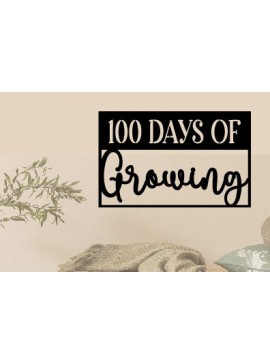 Σετ των 2 Intra απο ξύλο plywood 3mm-4mm πάχος Ημέρες Ανάπτυξης  Δίασταση 40x40 cm INTRAFABR-88460641