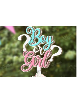 Intra απο ξύλο plywood 3mm-4mm πάχος 3D Gender Reveal Cake Topper Cut  Δίασταση 30x20 cm INTRAFABR-123361035