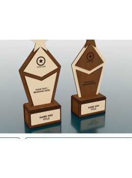 Σετ των 2 Intra απο ξύλο plywood 3mm-4mm πάχος Award Trophy , Wood Award Δίασταση 15x15 cm INTRAFABR-52603481