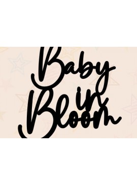 Σετ των 3 Intra απο ξύλο plywood 3mm-4mm πάχος Baby in Bloom Baby Shower Cake Topper Δίασταση 4x4 cm INTRAFABR-101293072