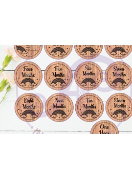 Σετ των 2 Intra απο ξύλο plywood 3mm-4mm πάχος Baby Monthly Milestone Discs Rainbow Δίασταση 30x20 cm INTRAFABR-109903193