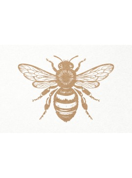 Σετ των 3 Intra απο ξύλο plywood 3mm-4mm πάχος Bee . Honey Bee . Χαρακτική μελισσών Δίασταση 7x7 cm INTRAFABR-102848039