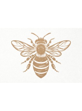 Σετ των 3 Intra απο ξύλο plywood 3mm-4mm πάχος Bee . Honey Bee . Χαρακτική μελισσών Δίασταση 7x7 cm INTRAFABR-102847983