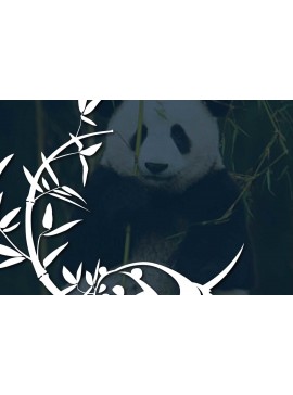 Σετ των 2 Intra απο ξύλο plywood 3mm-4mm πάχος - Cricut Panda με Bamboo  Δίασταση 20x20 cm INTRAFABR-68640309