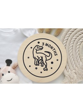 Σετ των 2 Intra απο ξύλο plywood 3mm-4mm πάχος - Dinosaurs Baby Monthly Milestone  Δίασταση 20x20 cm INTRAFABR-111580808
