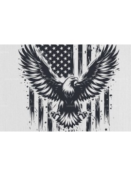 Intra απο ξύλο plywood 3mm-4mm πάχος - Μπλουζάκι αετός με αμερικανική σημαία  Δίασταση 40x50 cm INTRAFABR-97940268