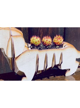 Σετ των 2 Intra απο ξύλο plywood  Χρώμα wenge 3mm-4mm πάχος - Dachshund Planter Δίασταση 15x15 cm INTRAFABR-122589785