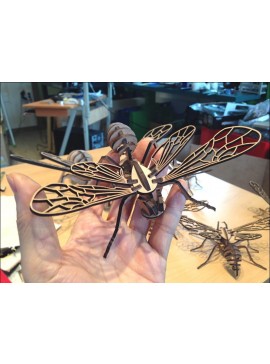 Intra απο ξύλο plywood 3mm-4mm πάχος - Bee 3D Puzzle Δίασταση 30x30 cm Intraeaxys-67wl5vw1