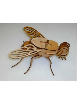 Intra απο ξύλο plywood 3mm-4mm πάχος - Πρότυπο μοντέλου 3D παζλ ξύλινη μύγα Δίασταση 30x30 cm Intraeaxys-67wlmy81