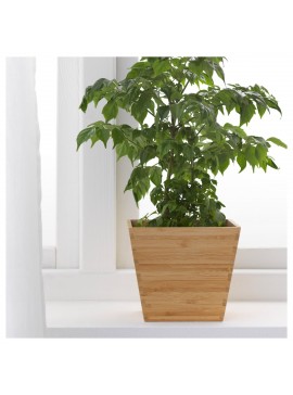 Intra απο ξύλο plywood 3mm-4mm πάχος - Ξύλινη θήκη λουλουδιών φυτών Δίασταση 30x30 cm Intraeaxys-eo4qdpg7