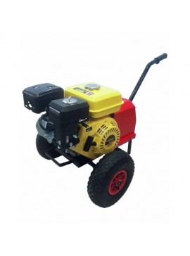 Ειδική Γεννήτρια Καρμπονικού Ραβδιστικού 12v Σταθερής Τάσης Interpower 6,5HP KIDO-
530/35