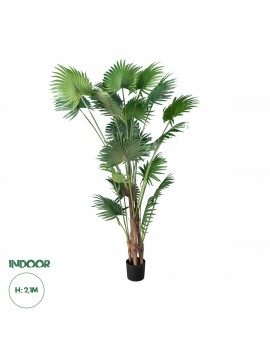 20014 GloboStar®  Artificial Garden PALM TREE 20014 Τεχνητό Διακοσμητικό Φυτό Φοινικόδεντρο Βεντάλια Υ210cm
