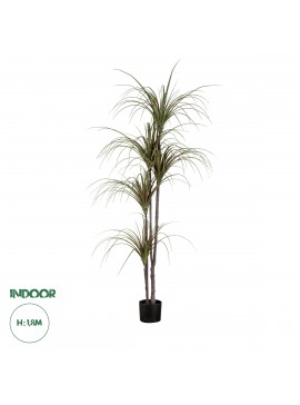 20016 GloboStar®  Artificial Garden DRAGON BLOOD TREE 20016 - Τεχνητό Διακοσμητικό Φυτό Δράκαινα Υ180cm