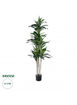 20044 GloboStar®  Artificial Garden DRACAENA SILK 20044 - Τεχνητό Διακοσμητικό Φυτό Δράκαινα Υ170cm