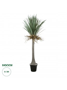 20047 GloboStar®  Artificial Garden BEAUCARNEA PALM TREE 20047 Τεχνητό Διακοσμητικό Φυτό Κυρτόφυλλος Μπουκαρνέα Υ200cm