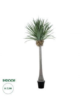 20048 GloboStar®  Artificial Garden BEAUCARNEA PALM TREE 20048 Τεχνητό Διακοσμητικό Φυτό Κυρτόφυλλος Μπουκαρνέα Υ250cm