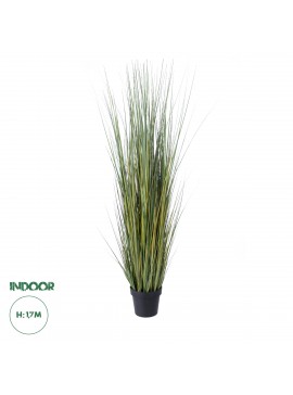 20072 GloboStar®  Artificial Garden PAMPAS GRASS 20072 Τεχνητό Διακοσμητικό Φυτό Γρασίδι της Πάμπας Υ170cm