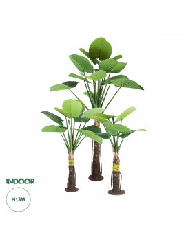 20089 GloboStar®  Artificial Garden TARO SET 20089 Τεχνητό Διακοσμητικό Σετ Φυτών Κολοκασία A:Υ300cm B:Υ210cm C:Υ160cm