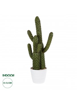 20100 GloboStar®  Artificial Garden CARNEGIEA CACTUS 20100 Τεχνητό Διακοσμητικό Φυτό Κάκτος Σαγκουάρο Υ63cm