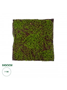 20143 GloboStar®  Artificial Garden BRYOPHYTA 20143 Τεχνητό Διακοσμητικό Πάνελ Φυλλωσιάς - Κάθετος Κήπος Βρύα Μ100 x Π100 x Υ5cm