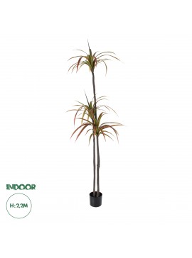 20371 GloboStar®  Artificial Garden DRAGON BLOOD TREE 20371 - Τεχνητό Διακοσμητικό Φυτό Δράκαινα Υ220cm