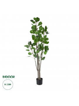 20375 GloboStar®  Artificial Garden POLYSCIAS BALFOURIANA TREE 20375 Τεχνητό Διακοσμητικό Φυτό Πολυσκιά Υ180cm