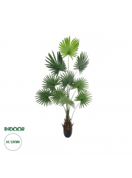 20972 GloboStar®  Artificial Garden SERENOA PALM PLANT 20972 Διακοσμητικό Φυτό Φοίνικα Σερενόα Φ103 x Υ180cm