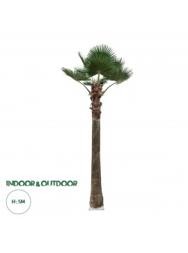 21056 GloboStar®  Artificial Garden PLANT PALM TREE 21056 Διακοσμητικό Δέντρο Φοίνικα  Φ240 x Υ500cm