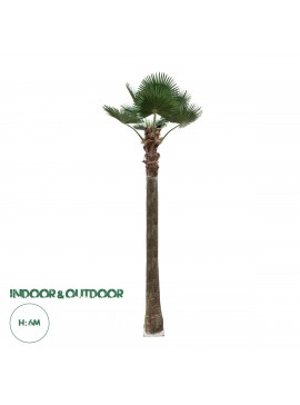 21057 GloboStar®  Artificial Garden PLANT PALM TREE 21057 Διακοσμητικό Δέντρο Φοίνικα  Φ240 x Υ600cm