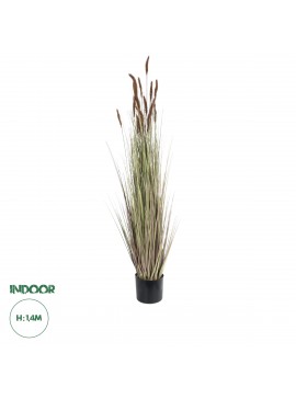 21101 GloboStar®  Artificial Garden BROWN LAGURUS 21101 Διακοσμητικό Φυτό Καφέ Λαγοουρά Υ140cm