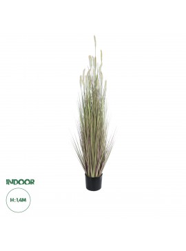 21102 GloboStar®  Artificial Garden BEIGE LAGURUS 21102 Διακοσμητικό Φυτό Μπεζ Λαγοουρά Υ140cm