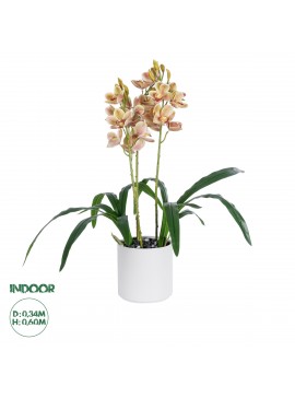 21404 GloboStar®  Artificial Garden CHAMPAGNE CHERRY CYMBIDIUM 21404 Διακοσμητικό Φυτό Σαμπανιζέ Κυμβίδιο Υ60cm