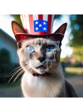 Intra Συλλεκτικό Ξύλινο Παζλ Plywood  4mm - Σιαμέζικη γάτα με καπέλο αμερικανικής σημαίας με μπλε μάτια Σε Ξύλινο Κουτί - Διαστάσεις: 10x10 cm – 25 κομμάτια