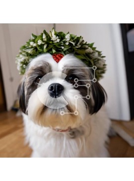 Intra Συλλεκτικό Ξύλινο Παζλ Plywood  4mm - Αξιολάτρευτο σκυλί με διακοσμητικό στεφάνι Σε Ξύλινο Κουτί - Διαστάσεις: 10x10 cm – 25 κομμάτια