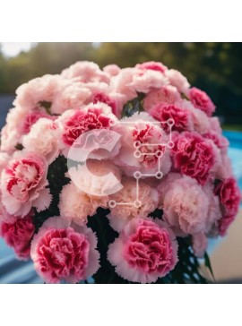 Intra Συλλεκτικό Ξύλινο Παζλ Plywood  4mm - Φρέσκο ​​μπουκέτο με γαρίφαλα δίπλα στην πισίνα Σε Ξύλινο Κουτί - Διαστάσεις: 10x10 cm – 25 κομμάτια