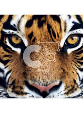 Intra Συλλεκτικό Ξύλινο Παζλ Plywood  4mm - Κοντινό πλάνο Πρόσωπο Τίγρης με έντονα κίτρινα μάτια Σε Ξύλινο Κουτί - Διαστάσεις: 10x10 cm – 25 κομμάτια