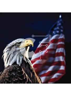 Intra Συλλεκτικό Ξύλινο Παζλ Plywood  4mm - Φαλακρός αετός με φόντο αμερικανική σημαία Σε Ξύλινο Κουτί - Διαστάσεις: 10x10 cm – 25 κομμάτια