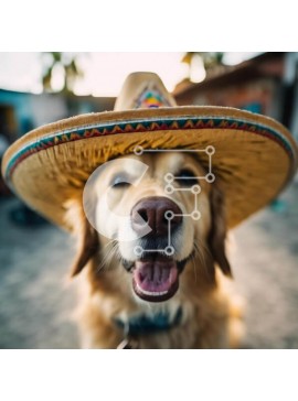 Intra Συλλεκτικό Ξύλινο Παζλ Plywood  4mm - Χαμογελαστός σκύλος με μεξικάνικο καπέλο σομπρέρο Σε Ξύλινο Κουτί - Διαστάσεις: 10x10 cm – 25 κομμάτια